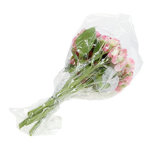 Prodotto Ortensia rosa con neve 33 cm 4 pz