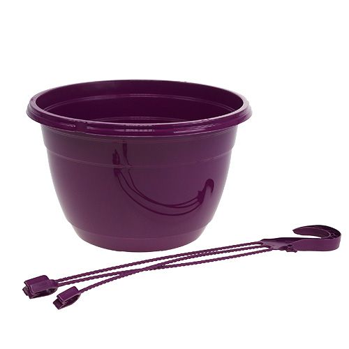 Prodotto Cesto sospeso 25 cm viola