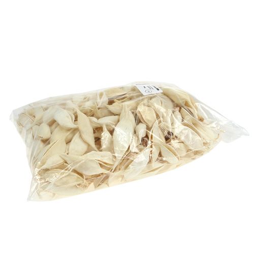 Prodotto Brachyciton sbiancato 500g