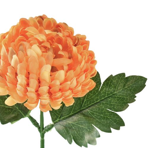 Prodotto Crisantemo arancione Ø7cm L18cm 1pz