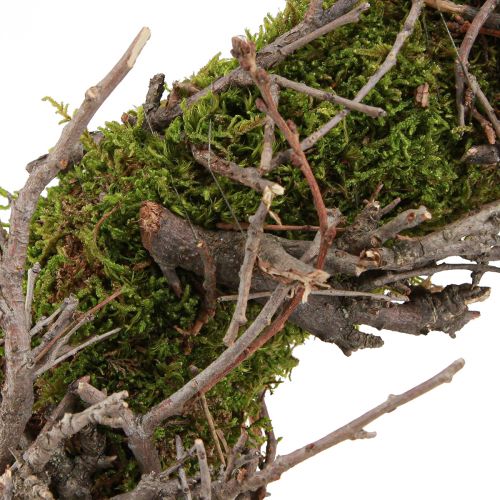 Prodotto Corona decorativa di muschio con rami di bonsai naturali Ø30 cm