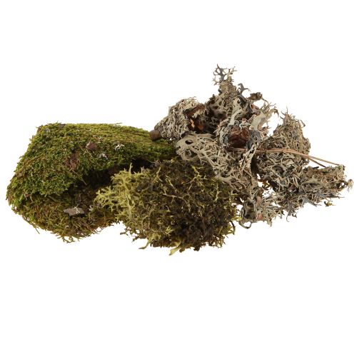 Muschio decorativo per artigianato mix verde, muschio naturale verde chiaro 75g