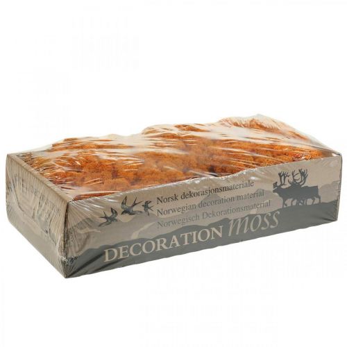 Prodotto Muschio Decorativo Arancione Vero Muschio per L&#39;artigianato Essiccato, Tinto 500g