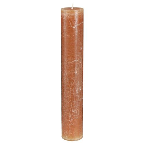 Floristik24 Candele in tinta unita candele stick caramello 50x300mm 4 pz