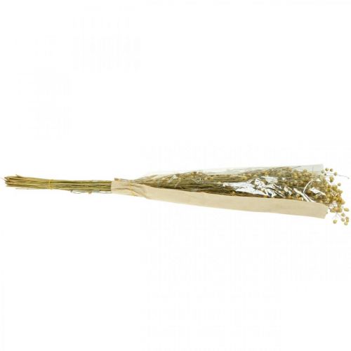 Prodotto Lino essiccato, floristica essiccato, lino naturale colore naturale L40–55cm 85g