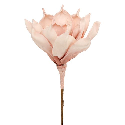 Schiuma fiore rosa magnolia Ø15cm L65cm-84776