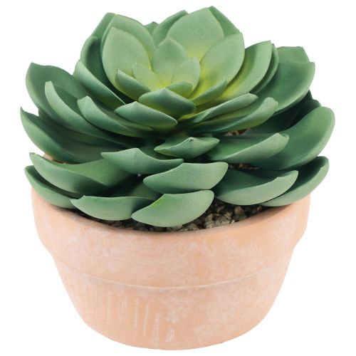 Prodotto Pianta grassa in vaso Echeveria artificiale verde Ø15cm