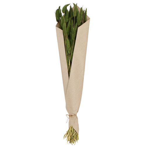 Prodotto Erba Coda di Lepre Lagurus Verde Secca 50-60 cm 50 g