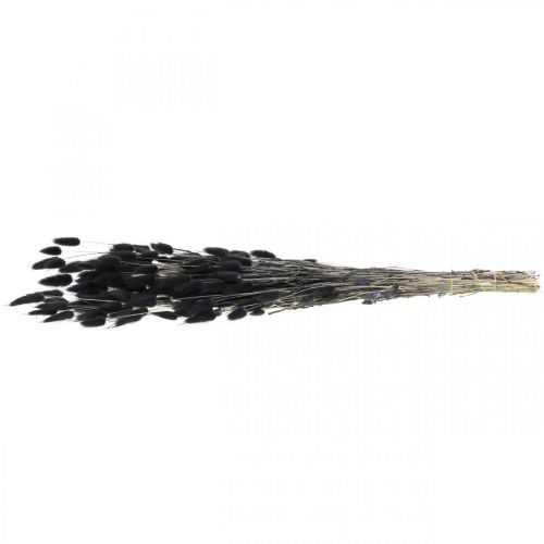 Prodotto Erba Coda di Coniglio Lagurus Nera Secca 60 cm 50 g