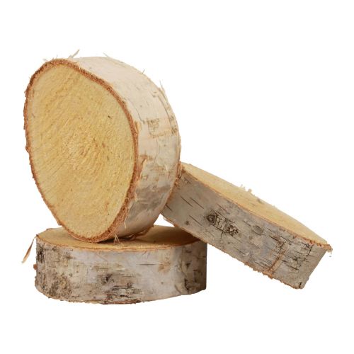 Dischi di legno decorativi in legno di betulla corteccia  naturale Ø7-9cm 20pz-12-000607