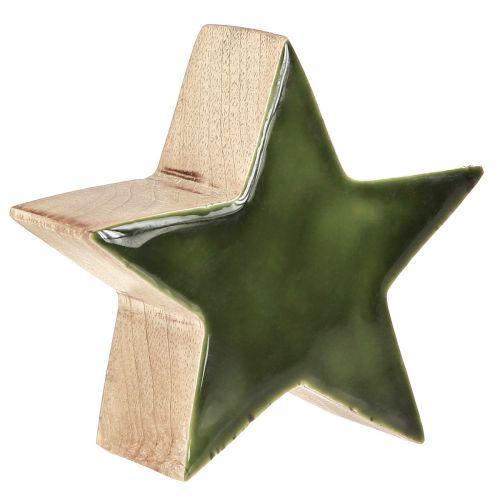 Floristik24 Stella in legno verde stella naturale decorazione da tavolo in legno di mango Ø10cm 3 pz