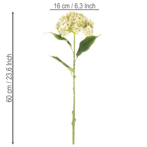 Prodotto Fiore di ortensia artificiale con stelo lungo e foglie, 60 cm
