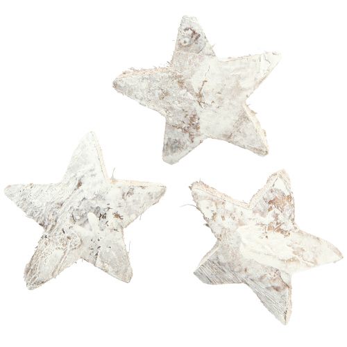 Floristik24 Decorazione Stella di Cocco Stelle di Cocco Lavate Bianche 5 cm 30 pz