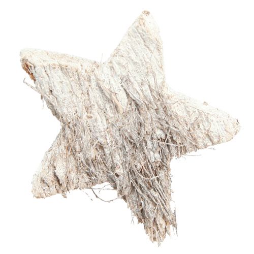 Prodotto Decorazione Stella di Cocco Stelle di Cocco Lavate Bianche 5 cm 30 pz