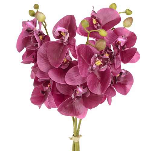 Prodotto Orchidee artificiali fiori artificiali viola come veri 56 cm 3 pezzi