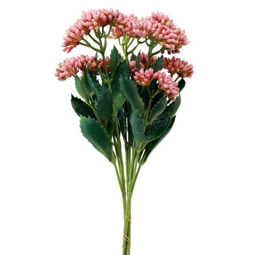 Gallina grassa artificiale Sedum Sedum fioritura rosa 47 cm 3 pezzi