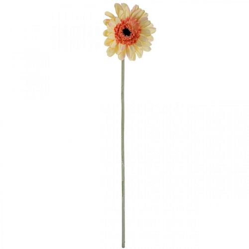 Prodotto Gerbera artificiale fiore artificiale fiore albicocca Ø11cm L50cm