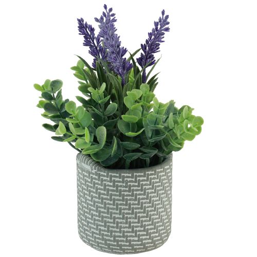 Floristik24 Lavanda artificiale in vaso ceramica viola verde H22cm