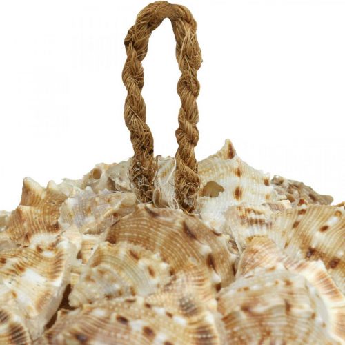 Prodotto Decorazione conchiglia palla lumache di mare Decorazione marittima da appendere Ø18cm