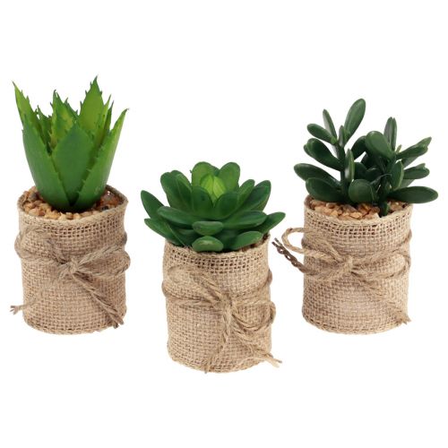 Piante artificiali decorative succulente artificiali 9,5-12,5 cm 3 pezzi