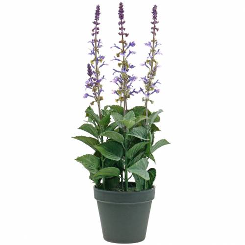 Prodotto Pianta decorativa di lavanda, vaso di lavanda mediterranea, fiore artificiale viola