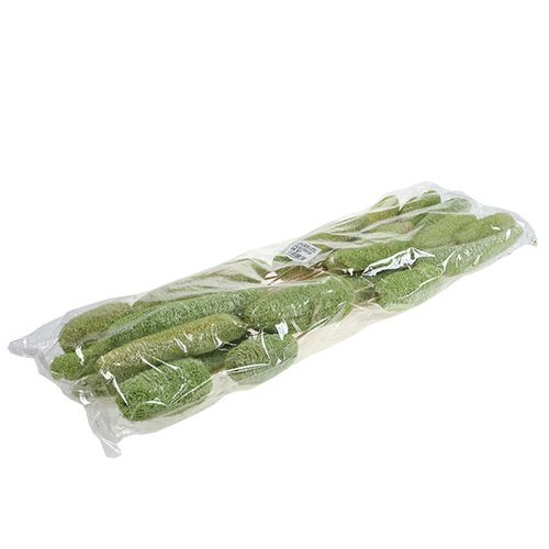 Prodotto Luffa grande su stecco verde 25 pz