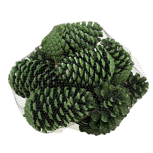 Prodotto Coni Maritima 10 cm - 16 cm verde satinato 12 pezzi