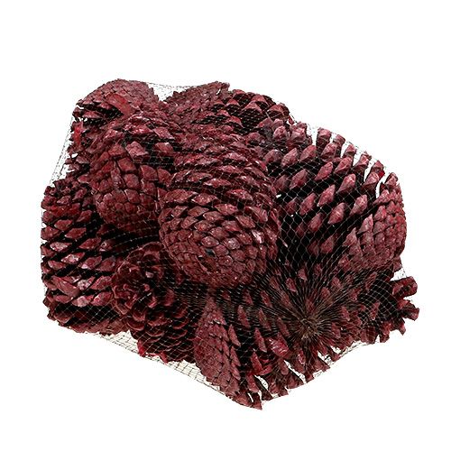 Prodotto Coni Maritima 10-15 cm rosso satinato 12 pezzi