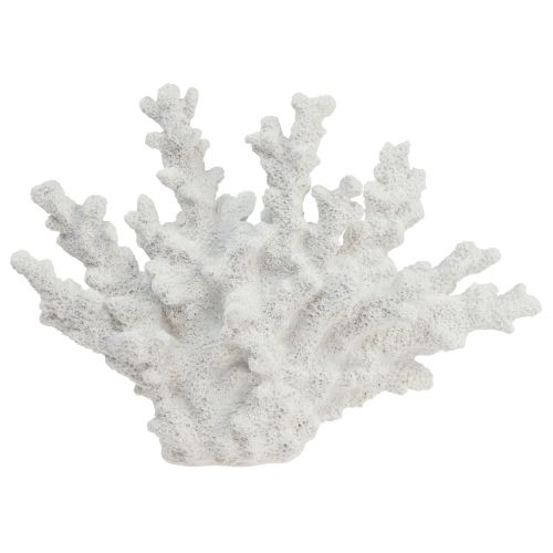 Floristik24 Decorazione marittima corallo in poliresina bianca 18,5×26 cm