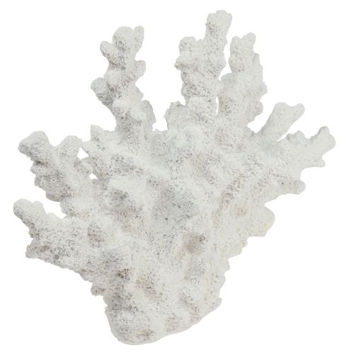 Floristik24 Decorazione marittima corallo in poliresina bianca 18,5×26 cm