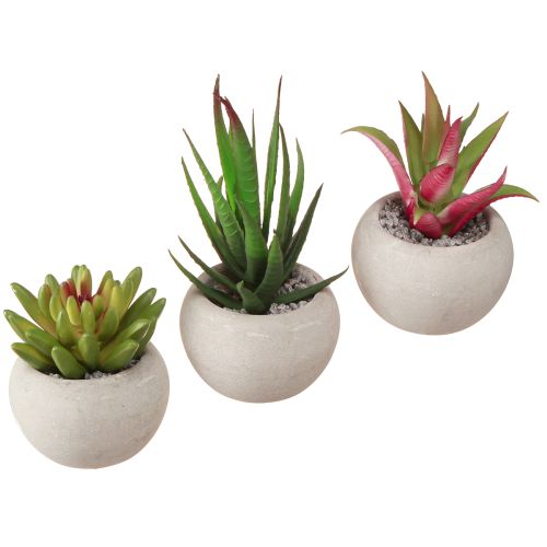 Mini piante grasse in vaso Decorazione piante artificiali Ø6,5 cm 6 pezzi