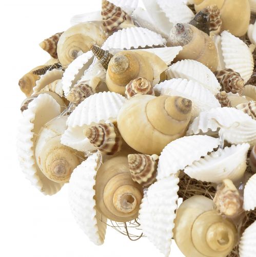 Prodotto Ghirlanda di conchiglie decorazione marittima da appendere cocco bianco naturale Ø25cm