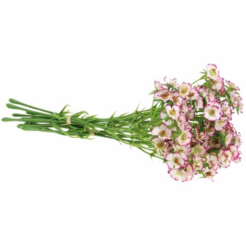 Floristik24 Mazzo di Garofani Bianco, Viola 34 cm