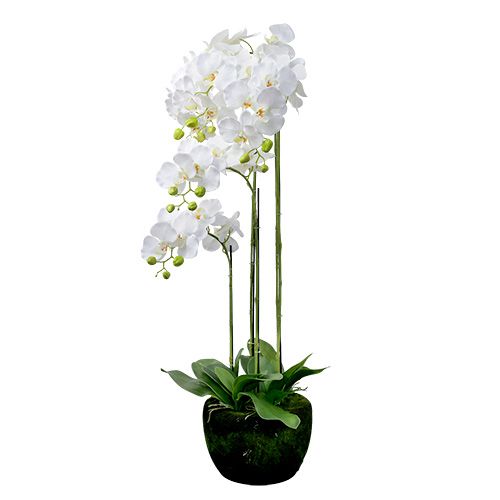 Orchidea artificiale Fiori di seta Grandi finte orchidee Fiori Composizioni