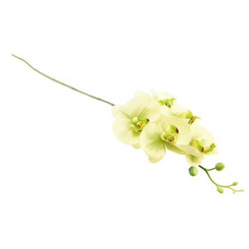 Prodotto Orchidea Phalaenopsis artificiale giallo verde 85 cm