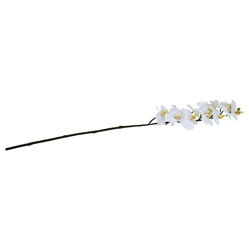 Prodotto Ramo di orchidea bianco L58cm