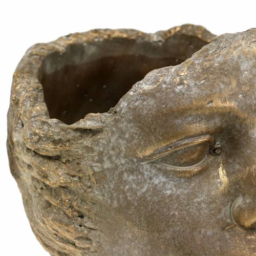 Floristik24 Testa fioriera pianta busto oro H24cm