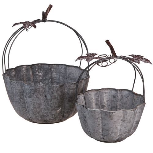 Ciotola per piante in metallo zucca vaso decorativo zinco Ø21/30cm set da 2 pezzi