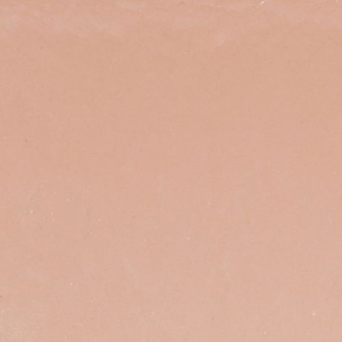 Prodotto Ciotola per piante ovale ciotola decorativa plastica rosa marrone 20×10×11 cm 3pz