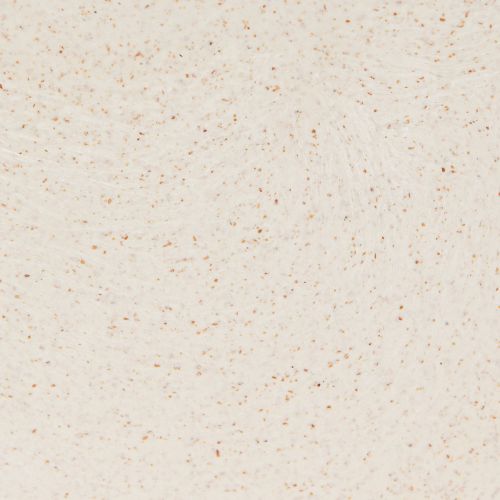 Prodotto Ciotola in plastica per barchetta per piante beige 24×10×15 cm 3pz