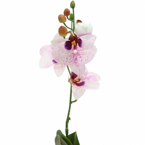 Orchidea artificiale Fiori di seta Grandi finte orchidee Fiori Composizioni