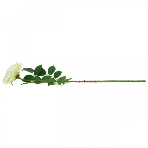 Prodotto Rosa artificiale, rosa decorativa, fiore di seta bianco crema, verde L72cm Ø12cm