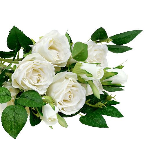 Mazzo di rose bianche L46cm-84997