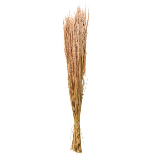 Prodotto Erba Piegata Rossa Agrostis Erba Secca Rosso Marrone 65 cm 80 g