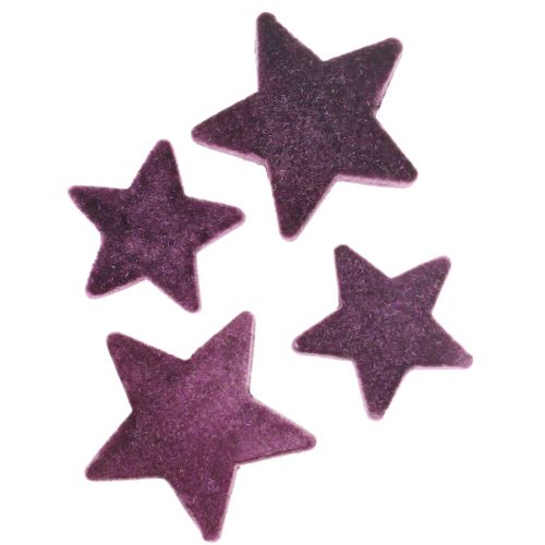 Floristik24 Stelle decorative sparse stelle di velluto floccato bacca viola 4/5 cm 40pz