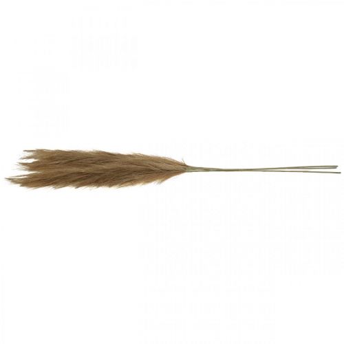 Prodotto Feather Grass Marrone Naturale Artificiale Erba Secca Canna 100cm 3pz