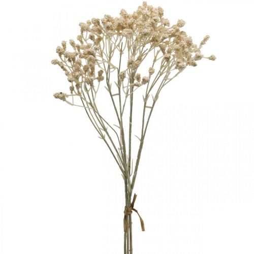 Floristik24 Gypsophila artificiale crema gypsophila 46 cm mazzo di 3 pezzi