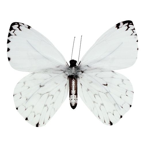 Decorazione Farfalla Bianca mm 62 con Sticker 