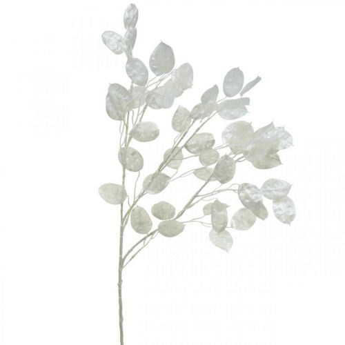 Prodotto Ramo decorativo foglia argento bianco Ramo Lunaria ramo artificiale 70cm