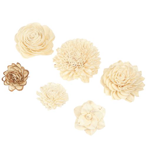 Floristik24 Sola Flowers Wood Fiori in legno Decorazione Mix Crema 6-11 cm 12-15 pz